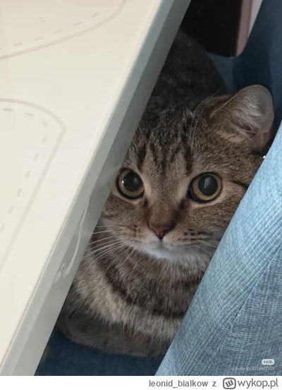 leonid_bialkow - @wfyokyga: cze dla ciebie