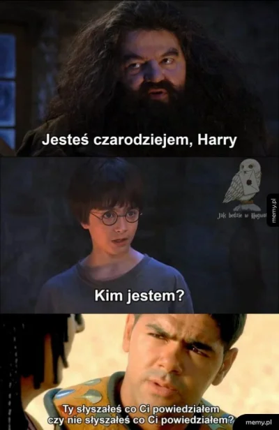 Gavran - #harrypotter