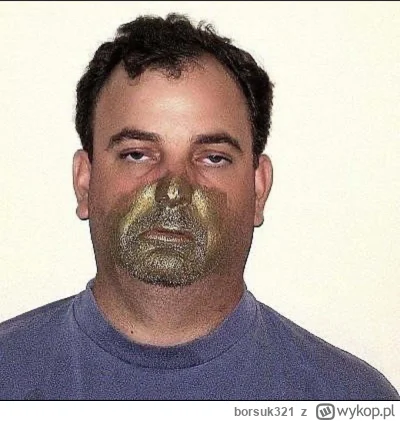 borsuk321 - @KwadratF1: przypomina te mugshoty z USA typów co wąchają farby ( ͡° ͜ʖ ͡...