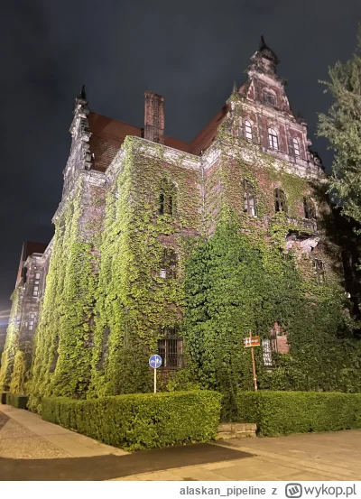 alaskan_pipeline - #wroclaw