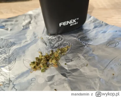 mandamin - #wykopjointclub #420

A jak tam wasz weekend? ( ͡° ͜ʖ ͡°)