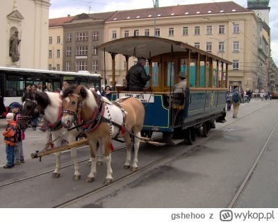 gshehoo - @dzoker: Ponadto, są  jeszcze tramwaje ciągnięte przez konie (czy też racze...