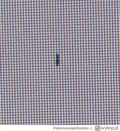 PokemonowyRambo - #komputery #monitory 
#zalesie 
Ehh jakiś robak wpełzł se pod matry...