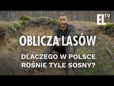 gracjan-rozenek - >Pokaż jak się gospodaruje na glebach VI klasy. Już mi tu jeden pis...