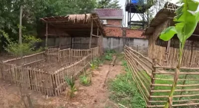 ZdumionyMariusz - #raportzpanstwasrodka

A może zoo to przykrywka i gapa tworzy na zl...