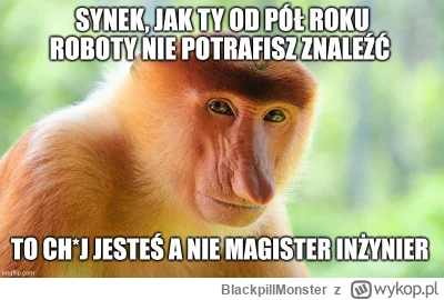 BlackpillMonster - #programista15k #programowanie #pracait #korposwiat