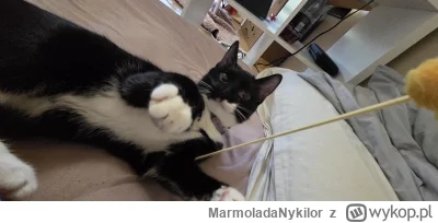 MarmoladaNykilor - @MarmoladaNykilor: