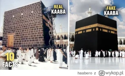 haabero - @ROTTE_N: swoją drogą ostatnio się dowiedziałem, że to co widzimy to jest p...