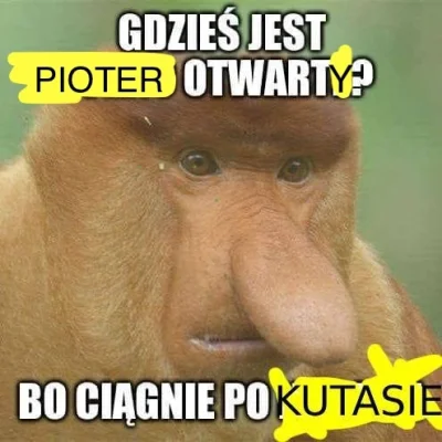 kingcel - @Cerb3rusPL: