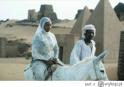pelt - @lycaon_pictus: W starożytności, na terenie dzisiejszego Sudanu były czarne kr...