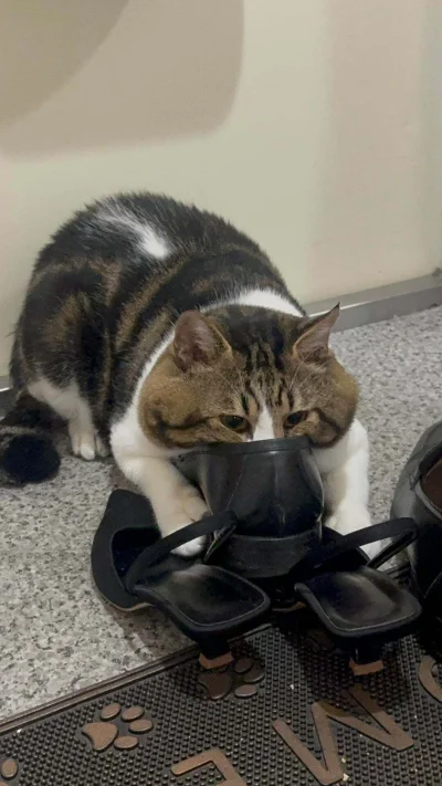 krystiano_ps3 - uwielbiam kiedy ciocia przyjeżdża

#gownowpis