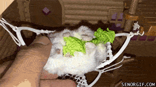 wfyokyga - Amciowanie