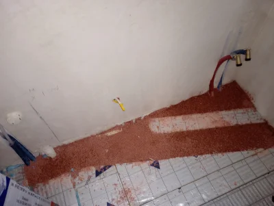 p00tinMalpaRU - #budujzwykopem #budowadomu #protip
Powiem Wam Mirki, to był game chan...