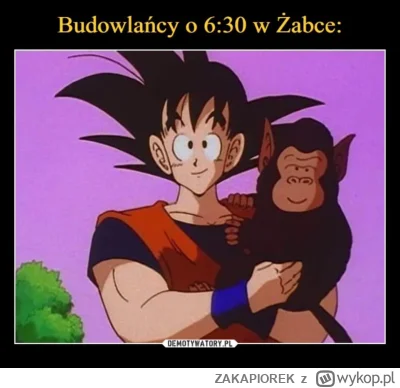 ZAKAPIOREK - #heheszki #humorobrazkowy