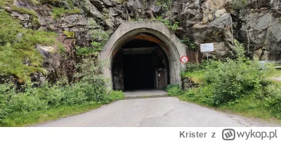 Krister - @dziacha: co to dla nich taki tunel. Koło Eidfjord jest 2.5 km tunel prowad...