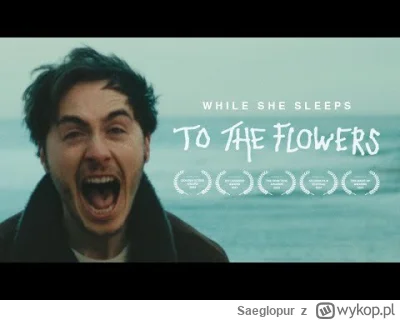 Saeglopur - To obawiam się koniec z @Outism0. Pisałem bezpośrednio i koniec. To był o...