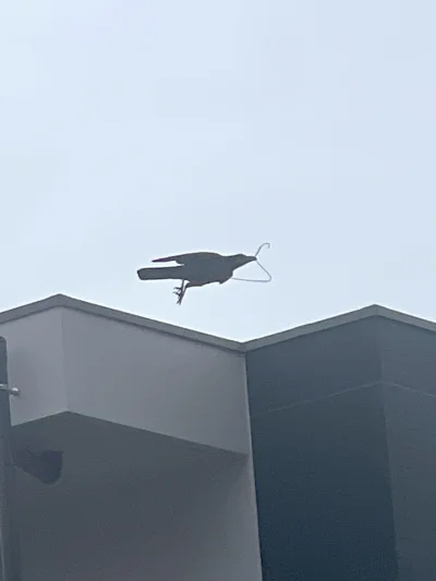 T.....z - Bociany dzieci przynoszą,
a wrony? No cóż ( ͡° ͜ʖ ͡°)

#aborcja #heheszki