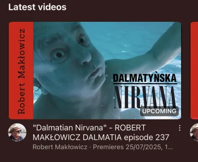 dzakub63 - Panie Robercie klasa xDDD #maklowicz #robertmaklowicz #heheszki #dalmacja