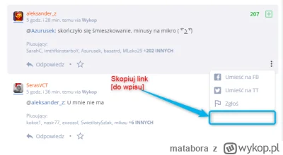 matabora - Taka opcja skopiowania linku do wskazanage wpisu by się przydała w tym mie...