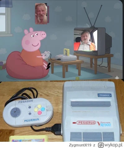 ZygmuntX19 - #kononowicz #patostreamy