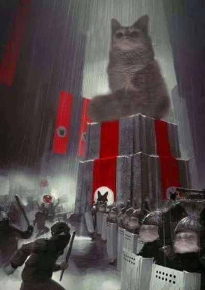 frugASS - narodowy kocizm