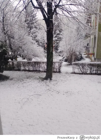 PrezesKarp - Coraz lepiej. Idę dziś do kołchozu z buta jednak. Lubię taką pogodę(ʘ‿ʘ)...