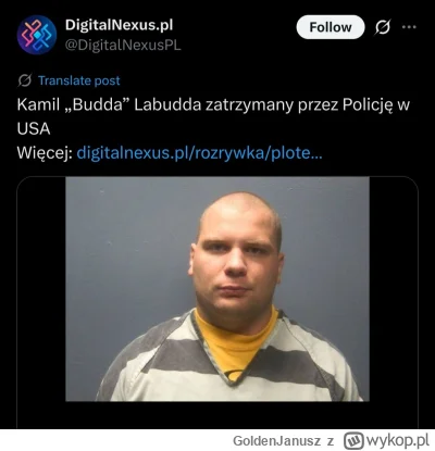 GoldenJanusz - default polska morda 
#przegryw #blackpill #budda