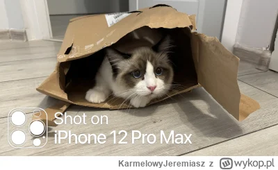 KarmelowyJeremiasz - Łajza w pudełku 

#koty #pokazkota