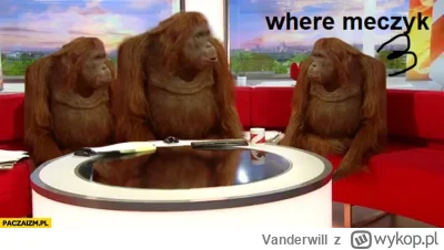 Vanderwill - #mecz #reprezentacja #pilkanozna