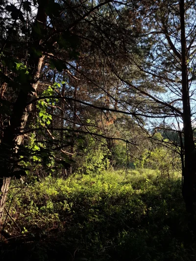 Gontyn- - #przegryw #spierdotrip