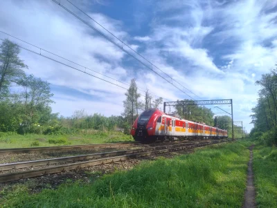 sylwke3100 - Dzień dobry 

Pociąg typu Chomik PR 46214 (Racibórz - Wrocław) zbliża si...