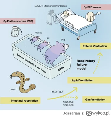Jossarian - Ogłoszono listę laureatów nagrody IG Nobla.
Wśród nagrodzonych Japończycy...