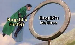 MioMiaMiu - No za każdym razem jak widzę Hagrida… 
#harrypotter