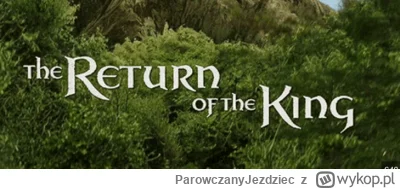 ParowczanyJezdziec - @Kulfonix: czuje się jak polak po wynalezieniu schabowego