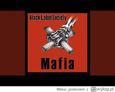 Wziuu_pontonem - Trochę energii si3 przyda
Nie zaszkodzi