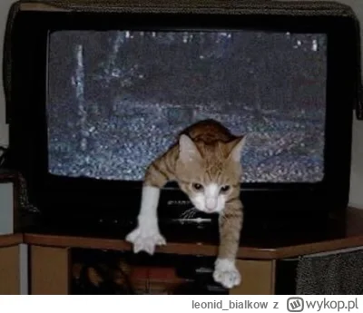 leonid_bialkow - dosyć mam grania w tym filmie kurna