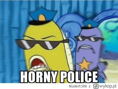 Nudel1306 - @Czerwony_zdrajca: