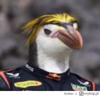 Bolitar - Dejcie jeszcze 2 dyskwalifikacje to punkta dostanę

#f1