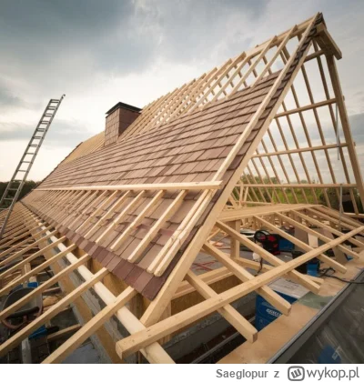 Saeglopur - I taki syf sie faktycznie pozycjonuje? Popatrzcie na to zdjęcie, inne też...