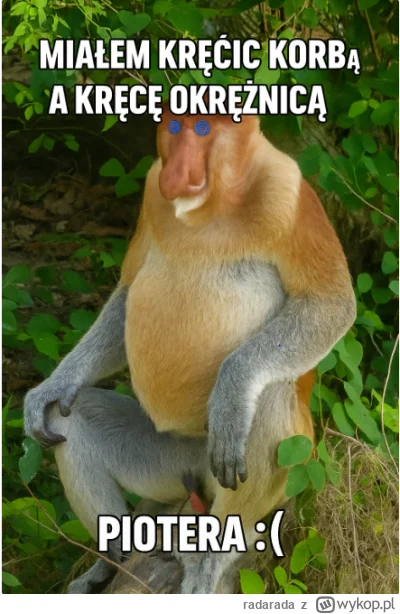 radarada - #zydkrecikorba #konkursnanajbardziejgownianymemznosaczem