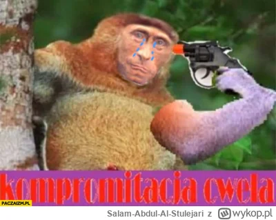 Salam-Abdul-Al-Stulejari - @yosemitesam