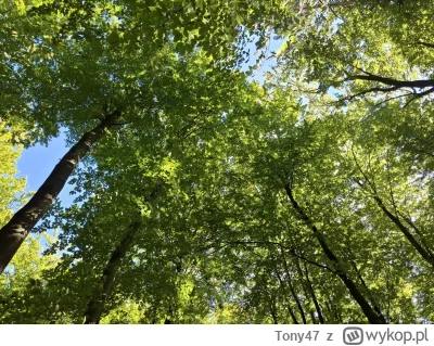 Tony47 - #przegryw

Komu to przeszkadzało? Tera walka z deprechą przez pół roku się z...