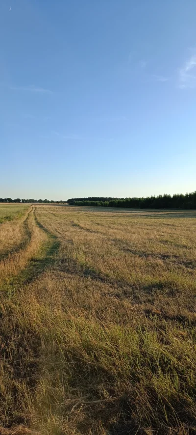 KrzysztofWu - Pole, pole, łyse pole, ale mam już plan.
Pomalutku, bez pośpiechu, wszy...