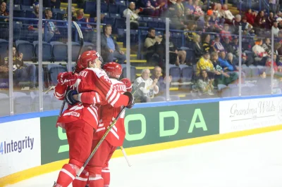 myk-myk-myk - Brawo Panowie, mamy w końcu awans do elity ᕙ(⇀‸↼‶)ᕗ #pzhl #hokej