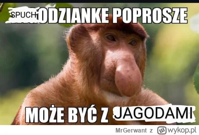 MrGerwant - @paczelok: