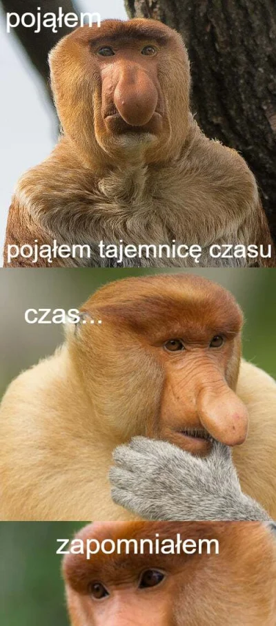 u_k1 - #konkursnanajbardziejgownianymemznosaczem