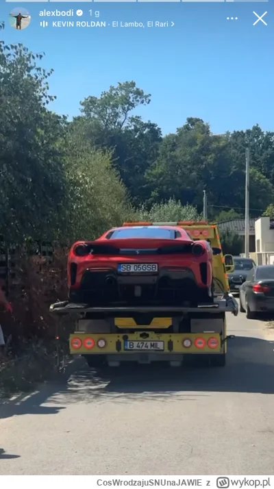 CosWrodzajuSNUnaJAWIE - U Alexa trwa właśnie sprzątanie w jego domu w Rumunii.