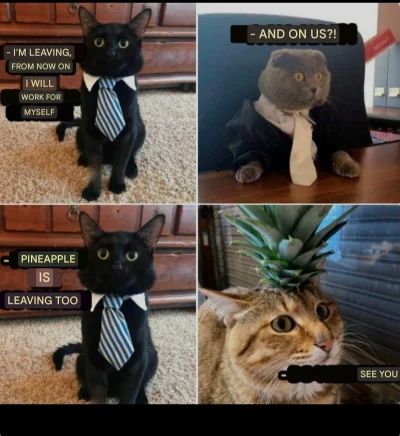 midnightwanderer - @sxilll: