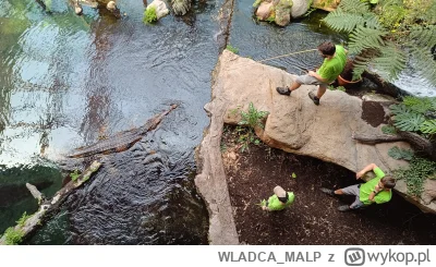 WLADCA_MALP - #zdjeciatarzana #lodz