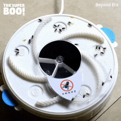 wfyokyga - Muchozjadacz